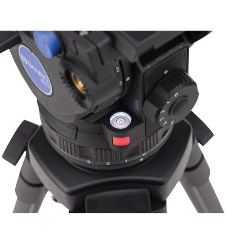 Video tripod head with light