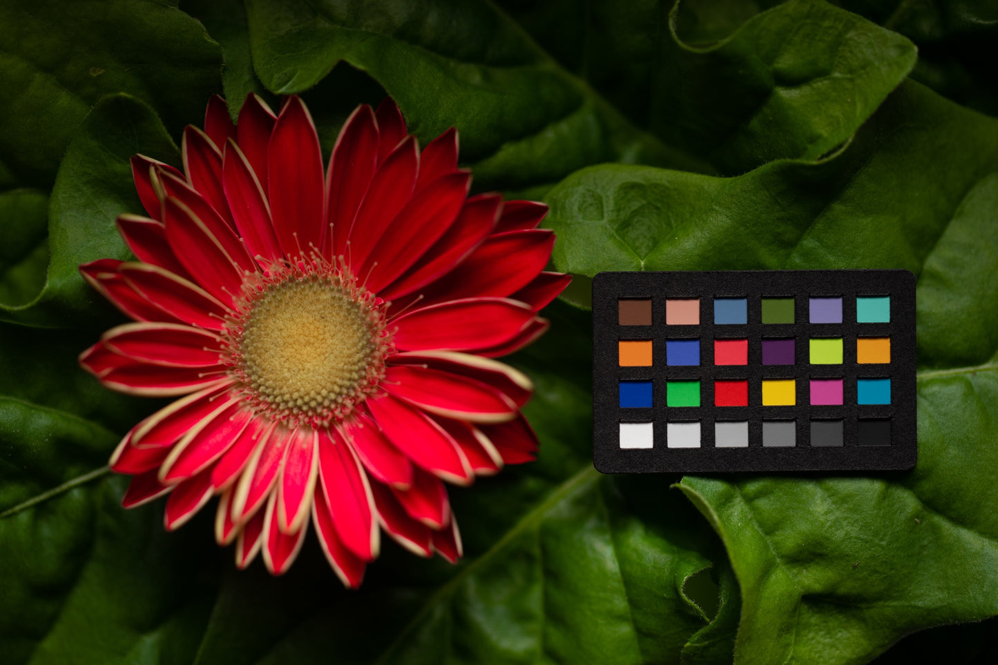 Calibrite ColorChecker Classic Nano