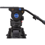 Video tripod head with plate