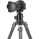 Interchangeable 75mm bowl on Benro Mammoth tripod for quick and easy camera leveling.