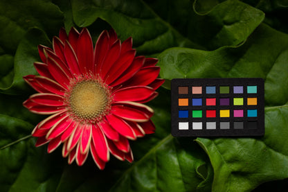 Calibrite ColorChecker Classic Nano