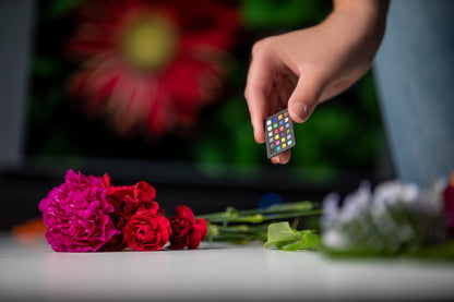 Calibrite ColorChecker Classic Nano