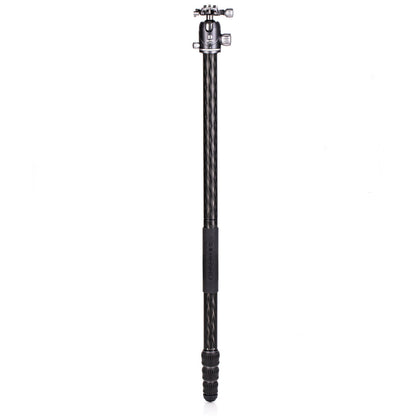2-in-1 carbon fiber tripod converting to a monopod