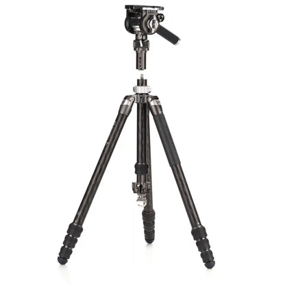 Benro KingPod 4-Section Tripod with FS36PRO Head (Carbon Fiber)