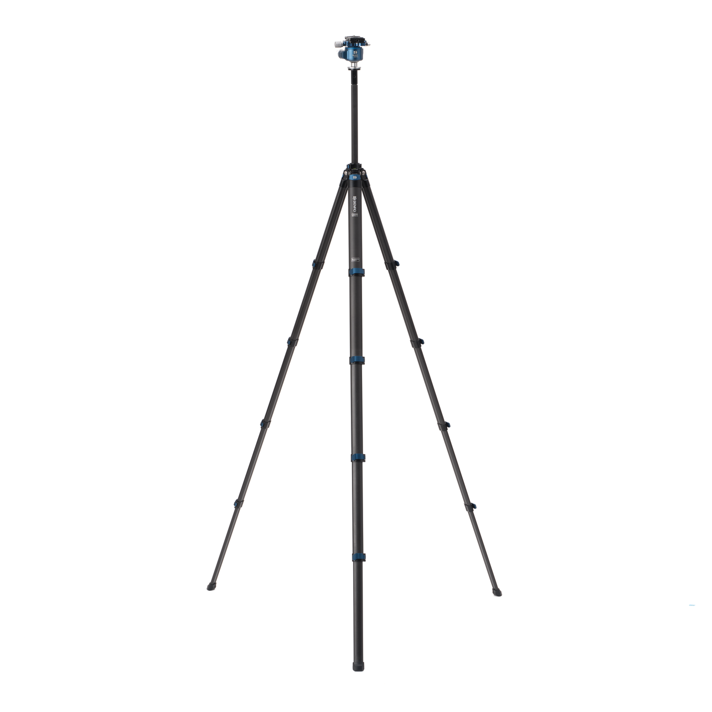 Benro Blackbird travel tripod kit in sleek black finish, fully extended on a natural outdoor terrain.