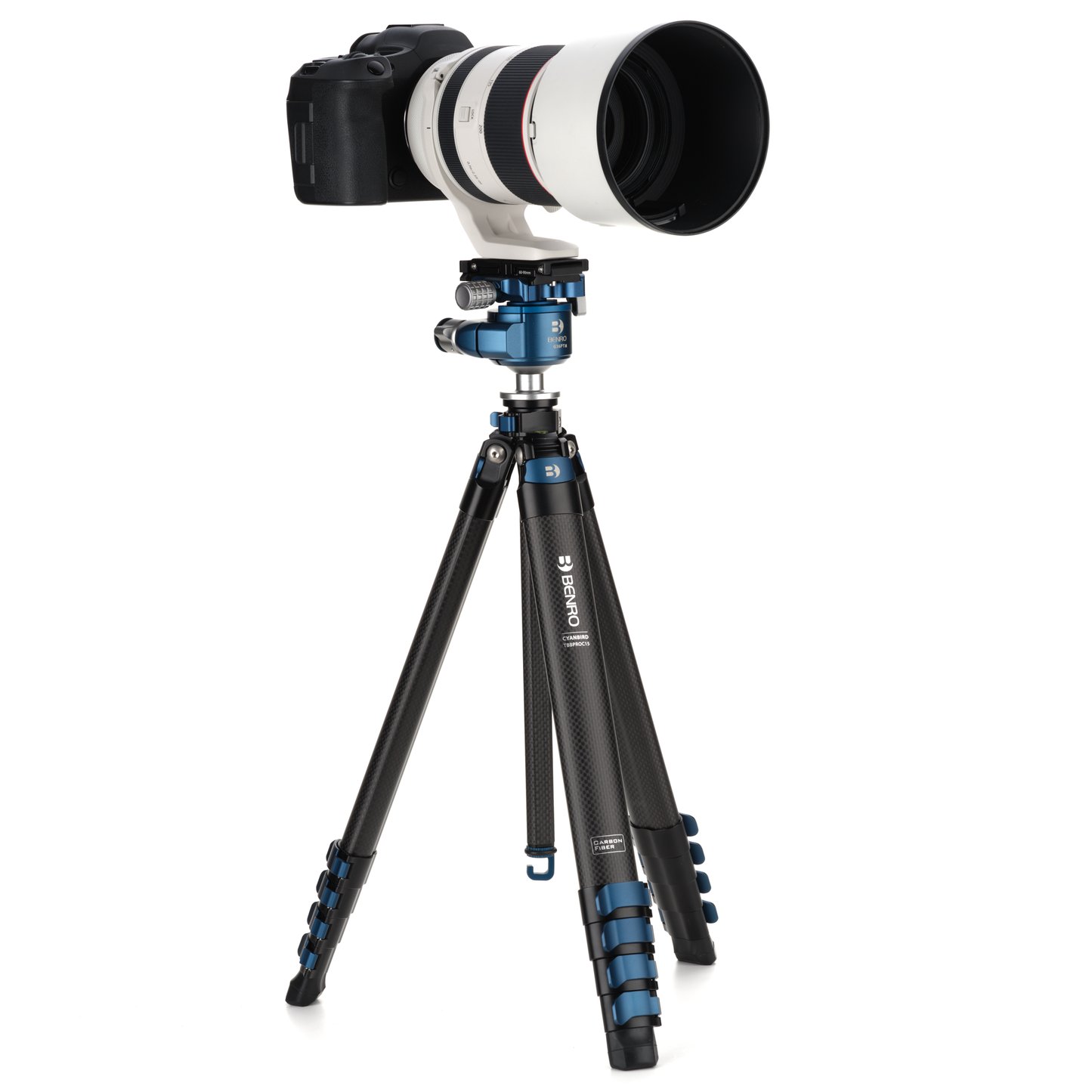 Benro Blackbird travel tripod supporting a professional DSLR camera in a landscape orientation.