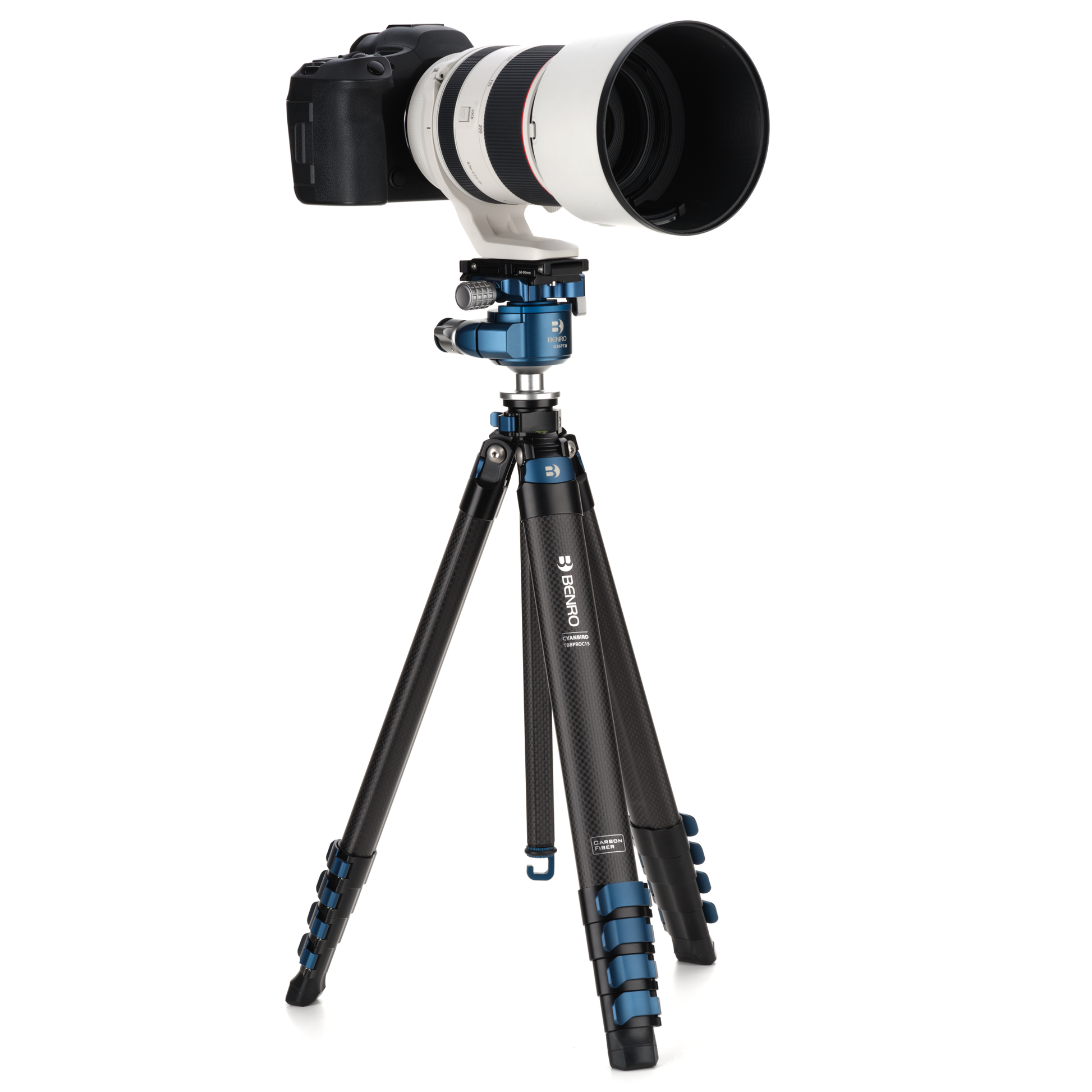 Benro Blackbird travel tripod supporting a professional DSLR camera in a landscape orientation.
