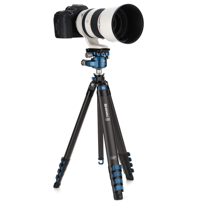 Benro Blackbird travel tripod supporting a professional DSLR camera in a landscape orientation.