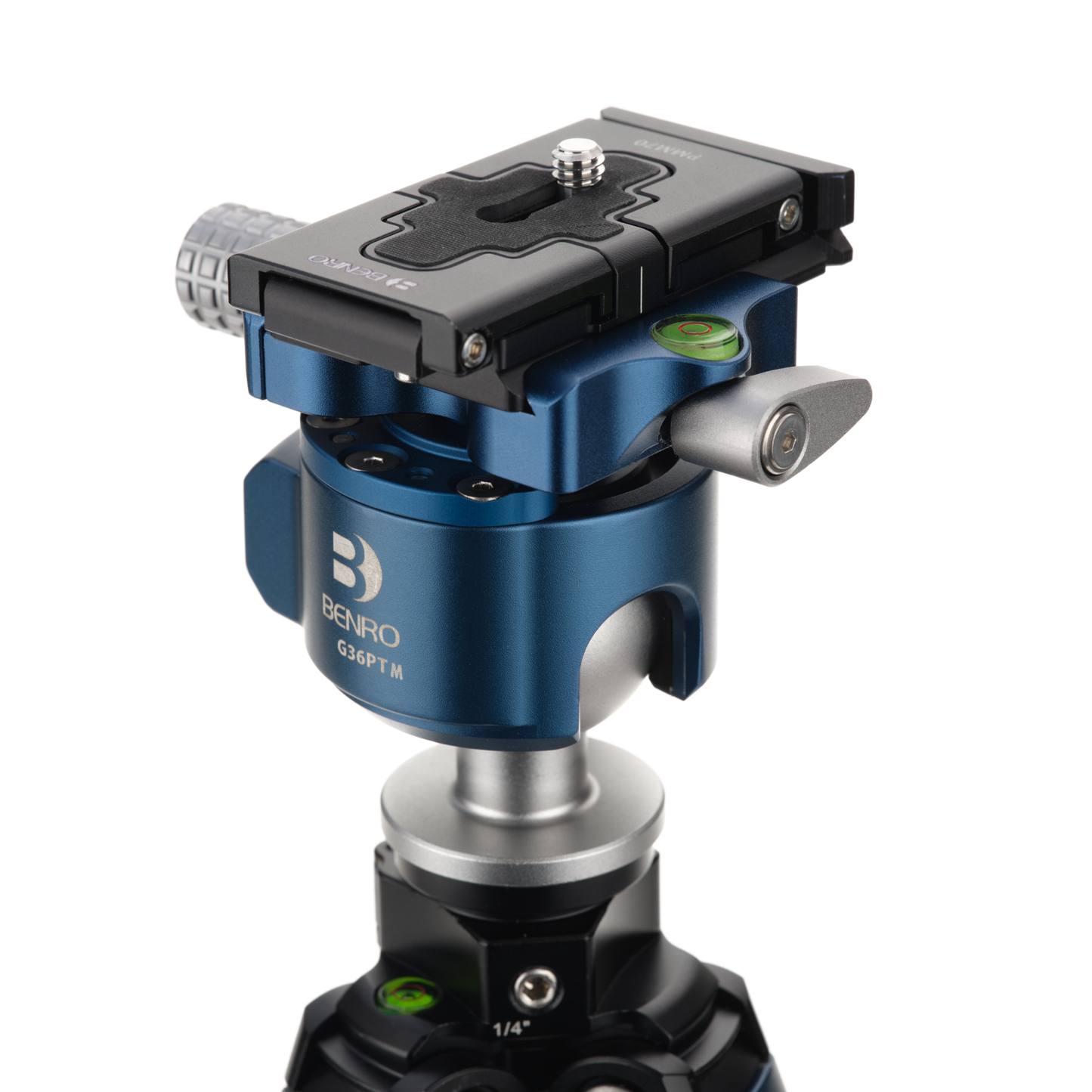 Benro Blackbird tripod legs showing the G36PTM head and release plate. 