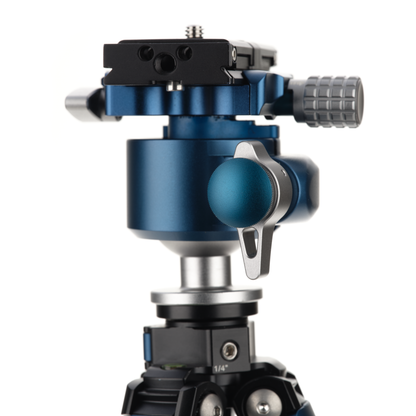 Benro Blackbird tripod legs showing the ball head.