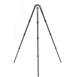 Low-angle setup with the Benro Mammoth tripod at its minimum height of 5.3 inches.