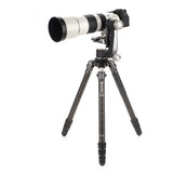 Benro Mammoth 4-Section Carbon Fiber Tripod supporting a large video camera at full height