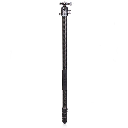 #Best carbon tripod monopod